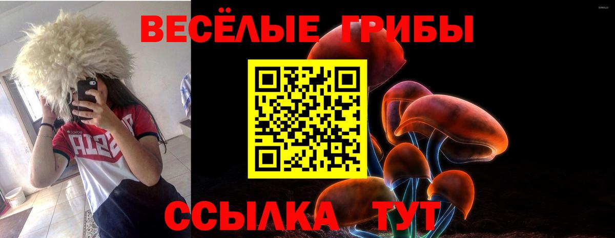 Галлюциногенные грибы Psilocybe  Вход с VPN  Касимов  купить   Галлюциногенные грибы MAGIC MUSHROOMS 
